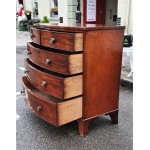 Regency Brass Knob Chest Drawers SOLD